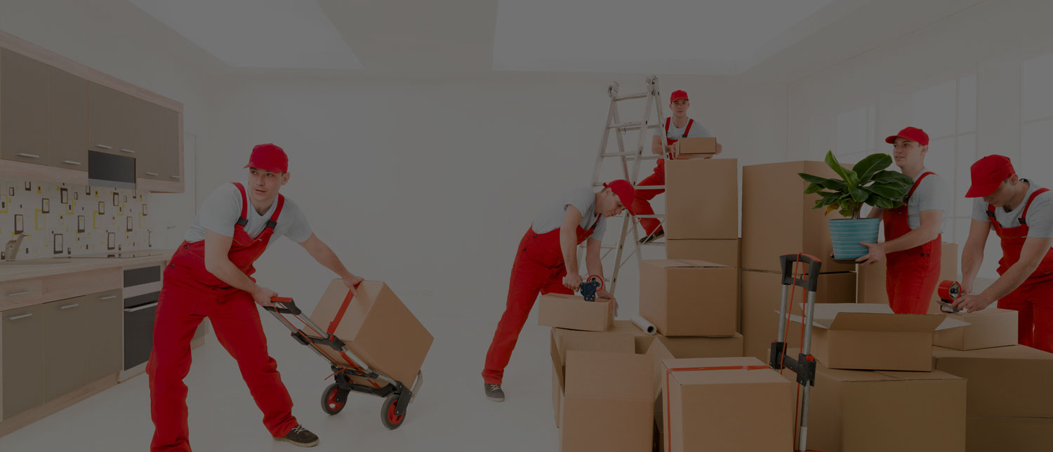 Best packers and movers near me